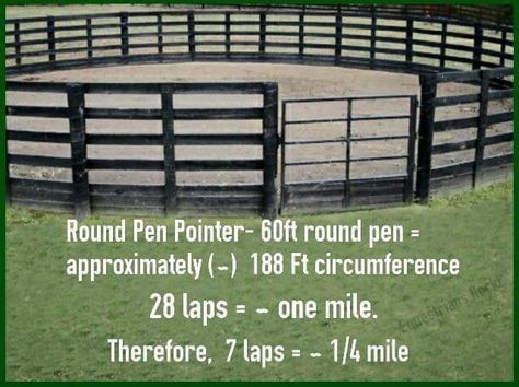 Good round pen info Round Pen Ideas, Diy Round Pen, Mountain Farming, Equestrian Diy, Round Pens For Horses, Horse Riding Arena, Florida Farm, Training Horses, Horse Farm Ideas