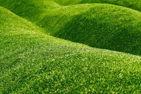 Can Artificial Grass Be Installed on a Slope? Plants Office, Plants Balcony, Artificial Plant Arrangements, Plants Beautiful, Grass Artificial, Artificial Grass Installation, Plants Diy, Boxwood Hedge, Plant Window