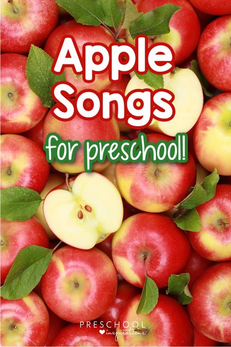 Apple songs for preschool are so fun for kids to sing, especially in the fall! They’re a perfect addition to a preschool apple theme and chances are, your kids already know quite a few of them. Apple Tree Songs For Preschool, Songs About Apples For Preschoolers, Fall Actives For Preschool, Apple Songs For Preschool Circle Time, Preschool Apple Songs, Circle Time Apple Activities, Apple Themed Snacks Preschool, Apple Rhymes Preschool, Apple Music And Movement Preschool