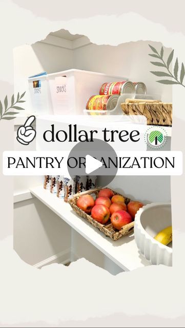 Emma Villaneda on Instagram: "Dollar Tree ✨PANTRY✨ organization ideas!   👉🏻 Which idea was your favorite?!  🤩📸👇🏻 SHOPPING list: 🛒 Dollar Tree Wire Basket  🛒 Dollar Tree Locker Bins 🛒 Dollar Tree Beverage Dispenser Bins 🛒 Dollar Tree Clear Acrylic Containers/ Jars 🛒 Dollar Tree Large Woven Style Baskets 🛒 Dollar Tree Fabric Storage Box w/ Lid   #diy #organization #organizationideas #dollartree #hack #homehacks #home #homedesign #diyproject #tutorial #hacks #budgethomedecor #lifestyle #decorhacks #lookforless #kitchen #pantry #pantryorganization #design #diyproject" Dollar Tree Seasoning Organization, Kitchen Dollar Tree Organization, Pantry Organization Design, Pantry Organization Ideas Dollar Tree, Dollar Tree Storage Ideas Organizing, Dollar Tree Tea Organizer, Dollar Tree Cabinet Organization, Dollar Tree Spice Organization, Dollar Tree Storage Hacks