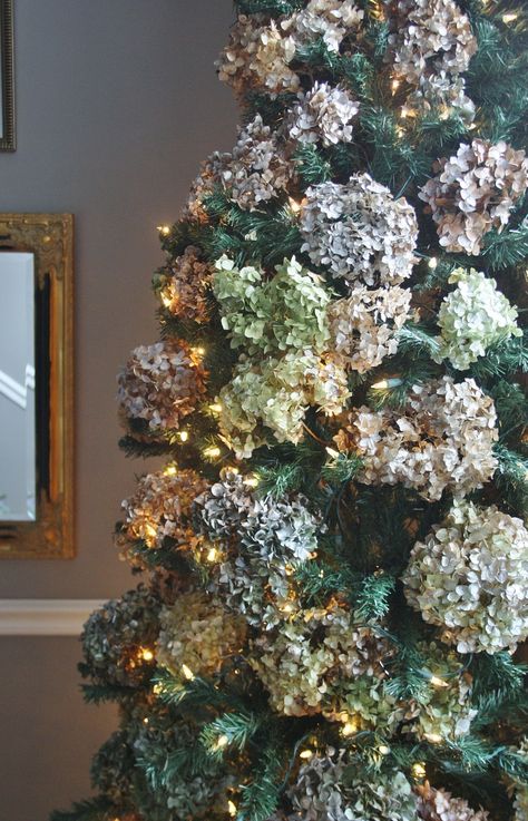 Christmas Tree Ideas With Flowers, Summer Xmas Tree, Hydrangeas On Christmas Tree, Dried Hydrangeas In Christmas Tree, Christmas Tree Hydrangea, Dried Hydrangeas Christmas Tree, Flower Christmas Decoration, Dried Hydrangea Christmas Tree, Christmas Tree Dried Flowers