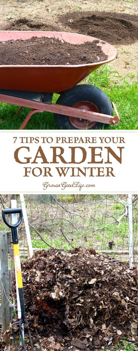 Winter Landscaping, Garden Education, Vegetable Garden Beds, Winter Vegetables Gardening, Spring Planting, Herbs Garden, Allotment Gardening, Gardening Projects, Grow Food