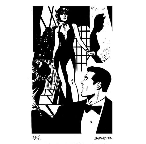 Chris Samnee, Black And White Comics, Batman And Catwoman, Batman Comics, Comic Panels, Environment Concept Art, Comic Styles, Comic Artist, Catwoman