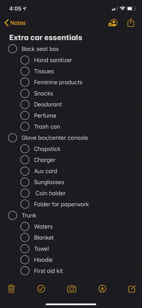 lil list of items I plan to keep in my future car My First Car Ideas, Stuff You Need In Your Car, Stuff You Need For Your Car, List Of Car Accessories, Car Necessities Bag, Thing To Keep In Your Car, List Of Car Essentials, Clean Car Checklist, First Car Necessities