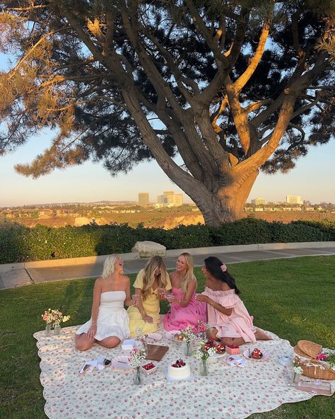 Aesthetic Picnic Pictures Friends, Pink Birthday Picnic, Picnic Pictures Friends, Picnic Party Aesthetic, Picnic Birthday Party Aesthetic, Picnic Photoshoot Friends, Park Picnic Aesthetic, Birthday Picnic Ideas, Girly Picnic