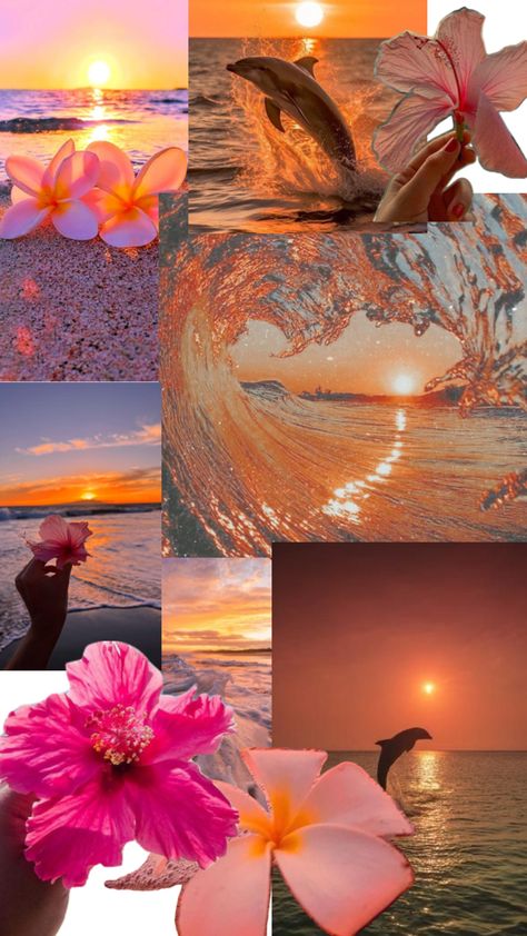 Summer Asethic Photos Wallpaper, Summer Asthetics Photos Wallpaper, Water Collage, Summer Prints Wallpaper, Flowers In Water, Summer Beach Wallpaper, Collage Photos, Beach Wall Collage, Iphone Wallpaper Preppy