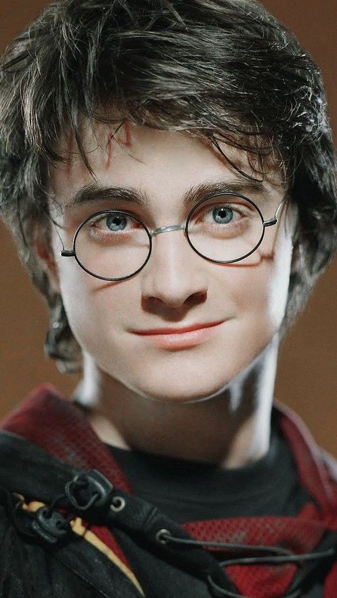 Harry Potter Portraits, Harry Potter Creatures, Harry Hermione Ron, Harry Potter Face, Daniel Radcliffe Harry Potter, Harry Potter Illustration, Harry Potter Icons, Pencil Sketch Images, Bunny Painting