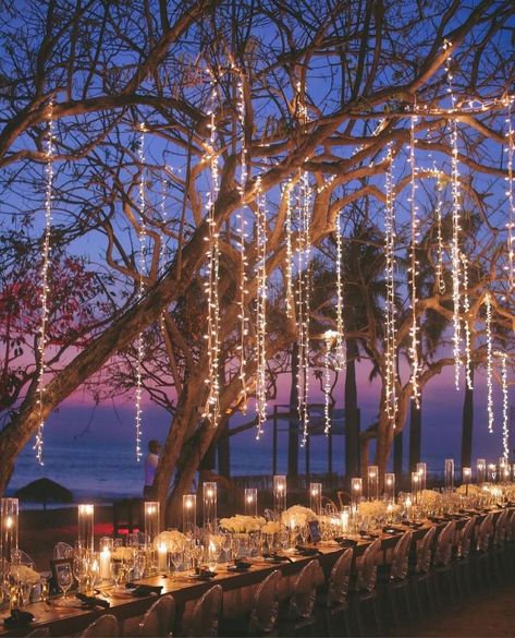 WedLuxe®️ on Instagram: “👏👏 Monday inspo to sweep you off your feet—beachside! Can you imagine dining at this outdoor celebration under all that ✨TWINKLE✨ and of…” Sunrise Wedding, Destination Wedding Caribbean, Outdoor Celebration, Lights Wedding Decor, Beachside Wedding, Costa Rica Wedding, Reception Dinner, Destination Wedding Photos, Villa Wedding