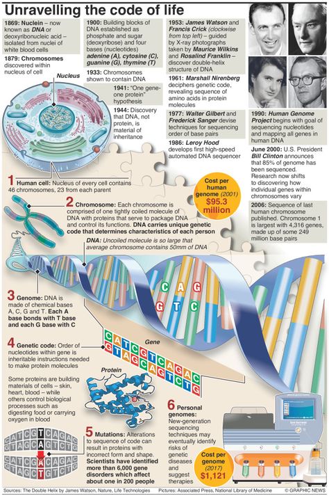 خريطة ذهنية, Study Biology, Biology Classroom, Basic Anatomy And Physiology, Biology Facts, Human Genome, Biology Lessons, Teaching Biology, Medical School Essentials