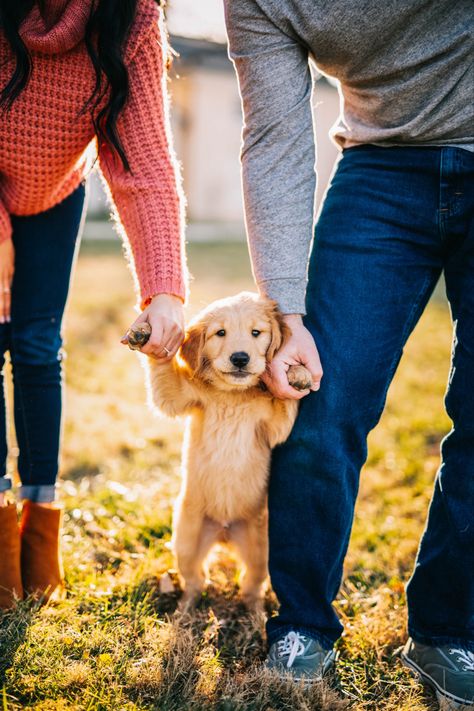 Photoshoot with dog #puppy #dog #photography #dogphotography #photoshoot#photoshootideas Family Picture With Dog Ideas, Puppy Gotcha Day Photos, Welcome Home Dog Photoshoot, Photo With Puppy Ideas, Couples Puppy Photoshoot, Photo Dog Ideas, New Dog Photoshoot, Doggie Photoshoot Ideas, Photos With Puppy Ideas