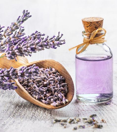 Lavender Oil For Hair, 2a Hair, Excessive Hair Fall, Grow Thicker Hair, Anti Wrinkle Mask, Deep Conditioning Hair Mask, Conditioning Hair Mask, Deep Conditioning Hair, Hair Growth Secrets