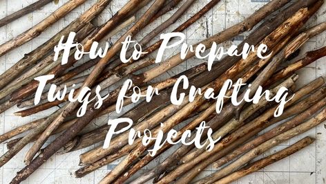 Essential Tips for Preparing Twigs: Clean, Dry, and Ready for Crafting Twig Frame Diy, Diy Branches Decor, Tree Branch Crafts Diy, Crafting With Nature, Doof Stick Ideas, Twig Crafts Branches Sticks Diy Ideas, Twig Crafts Diy, Stick Art Branches, Twig Art Diy Tree Branches