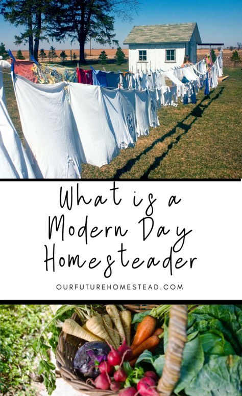 Diy Homesteading, Homesteading Diy Projects, Prairie Homestead, Provident Living, Modern Homesteading, Homestead Life, Homesteading Ideas, Homesteading Diy, Farm Plans