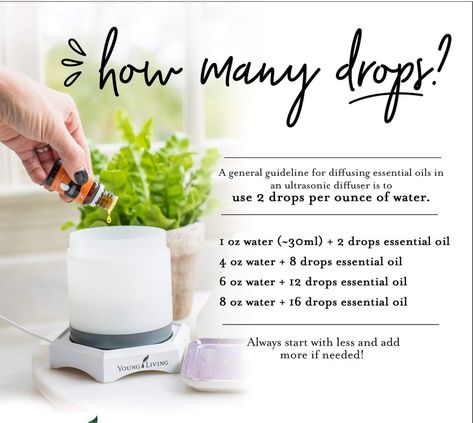 How many drops of oil in diffuser Living Oils Recipes, Hippie Mama, Young Living Diffuser, Essential Oil Diffuser Blends Recipes, Young Living Essential Oils Recipes, Essential Oils Herbs, Yl Essential Oils, Essential Oil Mixes, Essential Oil Blends Recipes