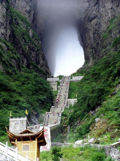 Tianmen mountain - Zhangjiajie , Hunan Province , China | Synotrip Heavens Gate China, Sentosa Island Singapore, Mountain China, Tianmen Mountain, Zhangjiajie, We Are The World, Forest Park, China Travel, Nature Landscape