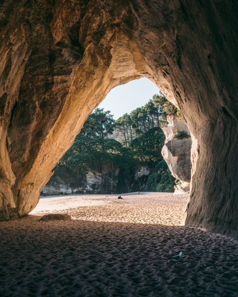 Everything you need to know about the famous Cathedral Cove on the North Island in New Zealand including what to expect, how and when to get there, where to stay and what to bring. Cathedral Cove, Beach Cove, New Zealand Landscape, Kayak Tours, Holiday Resort, Desert Island, Fantasy Places, Nature Travel, Beach Resorts