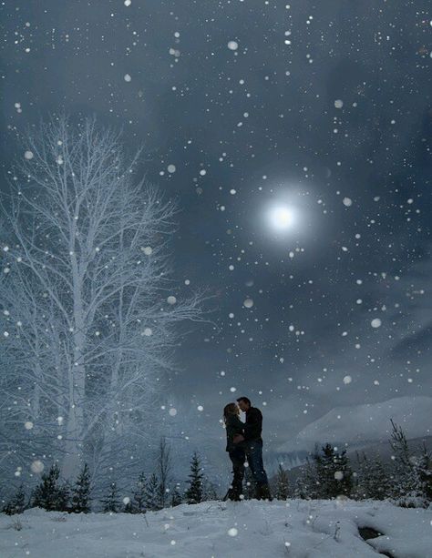 wp-1417880649319 Winter Schnee, Winter Magic, Winter Beauty, Santa Lucia, Beautiful Moon, Snow Scenes, Winter Wonder, Pics Art, Winter Scenes