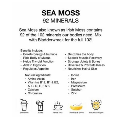 Luxury Botanics on Instagram: “The many benefits of to experience them click the link in my bio #seamoss #seamossbenefits #seamossgel #seamossgang #photooftheday,…” Sarsaparilla Benefits, Seamoss Recipes, Quarter Goals, Seamoss Benefits, Iron Vitamin, Healthy Holistic Living, Food Tech, Calcium Vitamins, Dr Sebi