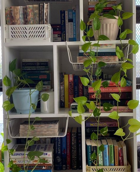 Green Bookshelf, Aesthetic Bookshelves, Plants And Books, Bookshelf Inspiration, Plant Aesthetic, Taipei Taiwan, Dream Room Inspiration, Dream Apartment, House Room