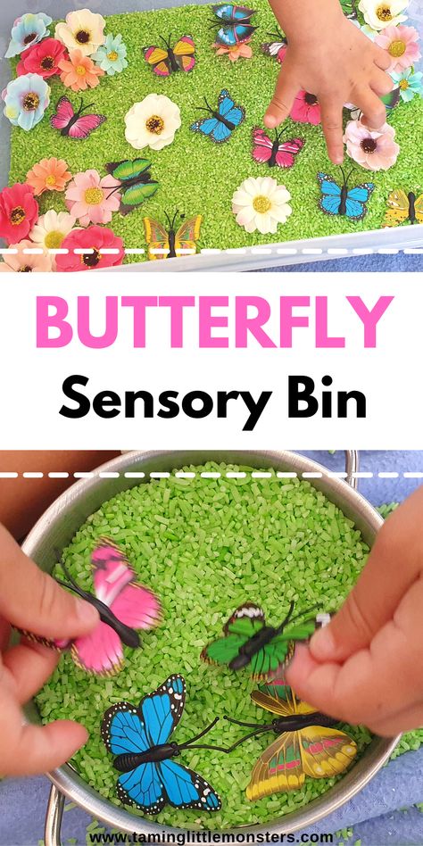 Spring Themed Crafts For Toddlers, Spring Sensory Bin For Toddlers, Insect Sensory Activities, Butterfly Themed Activities For Preschool, Butterfly Centers Preschool, Butterfly Science Activities Preschool, Bug Themed Activities For Toddlers, Spring Themed Toddler Activities, Butterflies Activities For Toddlers