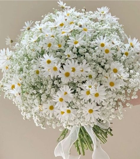 Shasta Daisy Bouquet, Daisy Wedding Bouquet, Daisy Bouquet Wedding, Baby's Breath Bouquet, Roses Bouquet Gift, Simple Wedding Bouquets, Floral Art Arrangements, Daisy Wedding, Wedding Planning Decor