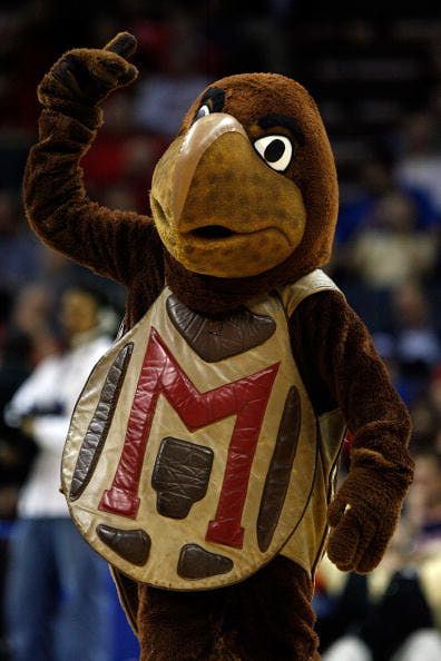 Maryland Terrapins mascot, Testudo the Terrapin. He debuted in the 1970s. College Park Maryland, College Mascot, Sports Mascot, Sports Advertising, Maryland Terrapins, March 7th, Terrapin, Team Mascots, Live Animals