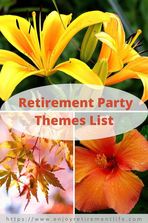 23 Retirement Party Themes to Inspire You & Make Your Retirement Party Memorable. Includes Retirement Party Theme Ideas About Decorations, Dress Code & Food! Tropical Retirement Party Ideas, Retirement Themes For Women, Retirement Theme Party Ideas, Retirement Party Themes For Women, Retirement Party Ideas For Women Theme, Retirement Party Ideas Decorations, Retirement Themes, Work Retirement Party Ideas, Enjoy Retirement