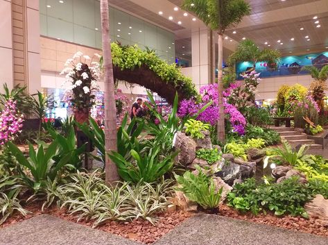 General view of the indoor Orchid Garden at Changi Airport, Singapore Singapore Airport, Changi Airport Singapore, Indoor Orchids, 18th Birthday Decorations, Changi Airport, Orchid Garden, Orchids Garden, The Orchid, Rooftop Garden