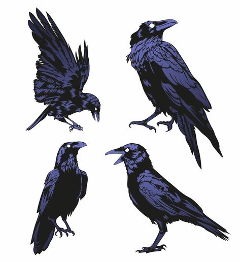 Crow Vector, Raven Vector, Crow Flying, Crows Drawing, Crow Tattoo, 그림 낙서, Crow Art, Black Birds, Raven Art