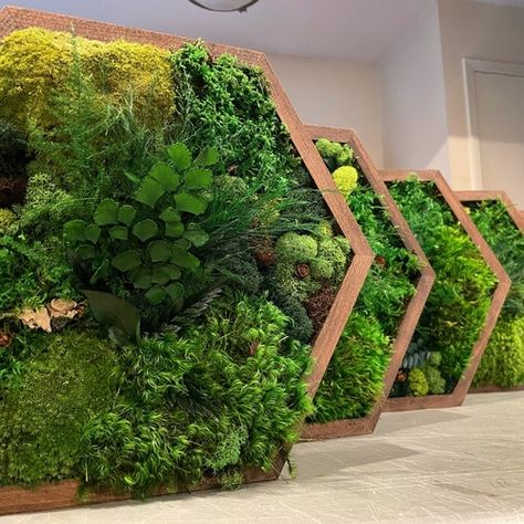 Moss Wall Artnature Room Decormodern Wall Artreal Mosseco - Etsy