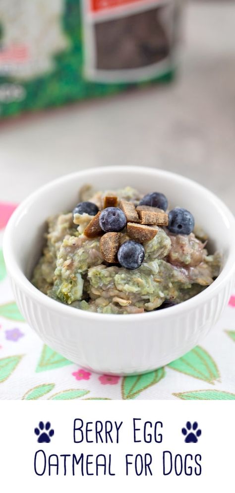 Berry Egg Oatmeal for Dogs Doggie Breakfast Recipes, Meals For Puppies, Dog Oatmeal Food, Breakfast For Puppies, Oatmeal Recipe For Dogs, Oatmeal Recipes For Dogs, Homemade Dog Food With Eggs, Homemade Dog Food For Dogs With No Teeth, Homemade Breakfast Food For Dogs