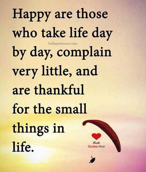 Happy are those who take life day by day, complain very little, and are thankful for the small things in life. happiness quotes | happiness quotes positive | happiness quotes about life | happiness quotes funny | happiness   quotes relationship | Fun & Happy Quotes | Happy New Year   Quotes Images | QUOTES FOR HAPPY LIFE, MONEY AND SUCCESS | Happiness Quotes | I Love My Life Quotes Happy, Be Happy Quotes Positivity Smile And, Happy Qouts In Life, Feeling Happy Quotes Good Vibes, Short Happy Quotes Smile, Just Be Happy Quotes, Enjoying Life Quotes Happiness, Happy Day Quotes Smile, Pure Happiness Quotes