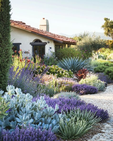 Arizona Style Landscaping, Agave And Lavender Garden, Drought Resistant Landscaping Front Yard California, Landscape Design Drought Tolerant, Mexican Sage Landscape, Landscape With Agave Plants, Drought Tolerant Landscape Front Yard California Native Plants, Drought Tolerant Garden Design, Drought Resistant Landscaping Backyard