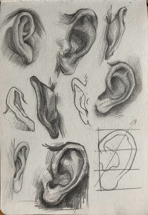 Ear Drawings Sketches, Different Ears Drawing, Shading Guide Drawing, Quick Anatomy Sketch, Head Drawing Tutorial Realistic, Face Mapping Drawing, Ear Perspective, Pointy Ears Drawing, Face Drawing Front View