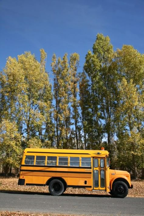 House Bus, School Bus Tiny House, School Bus Camper, Backyard Cabin, Bus Home, Classroom Accessories, Old School Bus, Bus Ideas, Bus Living