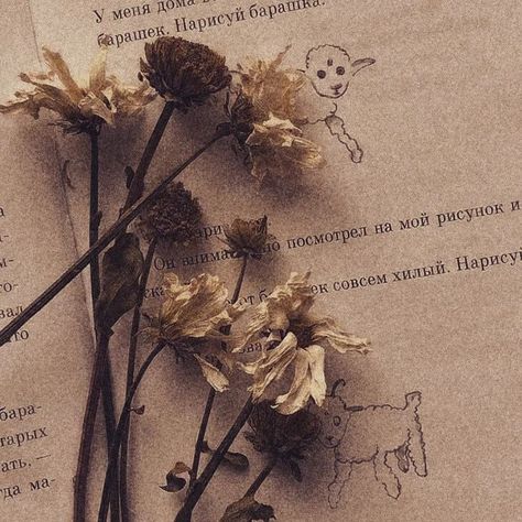 Dried Flower Aesthetic, Aesthetic Outside, Story Sequence Activities, Visual Schedule, Crochet Aesthetic, Modern Flower Arrangements, Nothing But Flowers, Brown Flowers, Tissue Paper Flowers