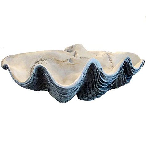 GIANT 22" CLAM SHELL tridacna gigas WHITE CLAMSHELL Giant Clam Shell, Giant Clam, Interior D, Clam Shell, Gourmet Food, Life Photography, Sea Life, Sea Shells, Decorative Bowls