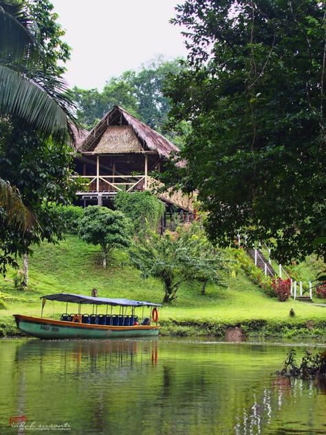 Our eco-resort, in the middle of the jungle - Eight Things to Do and Learn in the Amazon Rainforest (Ecuador) Amazon Jungle Aesthetic, Ecuador Amazon Rainforest, Amazon Rainforest Travel, Amazon Rainforest Ecuador, Amazon Rainforest Aesthetic, Ecuador Rainforest, Rainforest Village, Ecuador Aesthetic, Rainforest Tribes