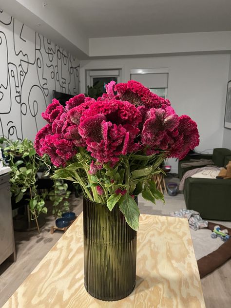 be f*cking foreal on Twitter: "Cannot get over how pretty these are! https://t.co/9bRwkpGqAI" / Twitter Celosia Flower, Ty Babies, Wedding Decor Inspiration, Green Nature, Get Over It, Home Deco, Flowers Bouquet, Garden Plants, Decor Inspiration