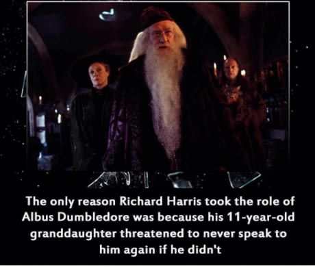 Harry Potter Facts Unknown, Albus Dumbledore Gif, Harry Potter Fun Facts, Hp Facts, Richard Harris, Potter Quotes, Harry Potter Puns, Unknown Facts, Harry Potter Gif