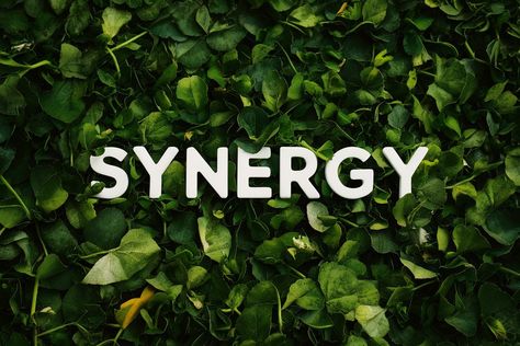 Synergize 🌟 Habit 6: Synergize 🌟 Combine strengths through teamwork and cooperation to achieve more together than you could alone. Value differences and embrace diverse perspectives to create better solutions. Synergy is the essence of teamwork! 🤝 #teamwork #collaboration #synergy Habit 6 Synergize, Highly Effective People, 7 Habits, In Depth, Teamwork, Personal Growth, Self Help, To Create, Essence