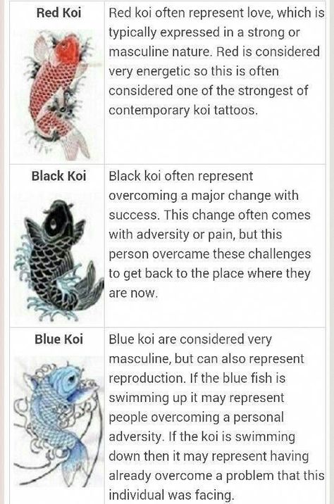 Japanese Tattoos For Women, Japanese Tattoo Koi, Small Japanese Tattoo, Japanese Tattoo Meanings, Japanese Tattoo Women, Japanese Koi Fish Tattoo, Koi Tattoo Design, Japanese Tattoo Symbols, Tattoo Placements