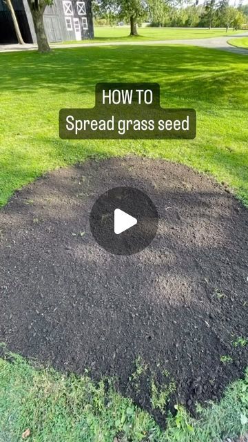 Stevensville Garden Gallery on Instagram: "How do you spread grass seed?? We get this question all the time!   Follow these easy steps and you’ll be on your way to a lush lawn in no time!  🌱 Prepare the spot with fresh soil  🌱 Pour a bag of Viva Lawn repair mix into your wheelbarrow  🌱 Add grass seed and mix!  🌱 Dump the mixture onto your prepared spot  🌱 Rake out evenly over your soil  🌱 Water with a sprinkler   #grassseed #grass #falllawnprep #lawnprep #howto #diy #gardening #falldiy #springgardening #yardprep #yardwork #vivalawn #lawnseeding #seedyourlawn #fertilizer #gardengallery #spring #marchgarden #springgarden #springlawnprep" How To Make Grass Seed Grow Fast, Grass Maintenance Lawn Care, How To Make Grass Grow, Over Seeding Lawn Spring, Growing Grass Tips, Best Way To Grow Grass Fast, How To Get Grass To Grow In Bare Spots, How To Get Grass To Grow, How To Seed Grass Lawn