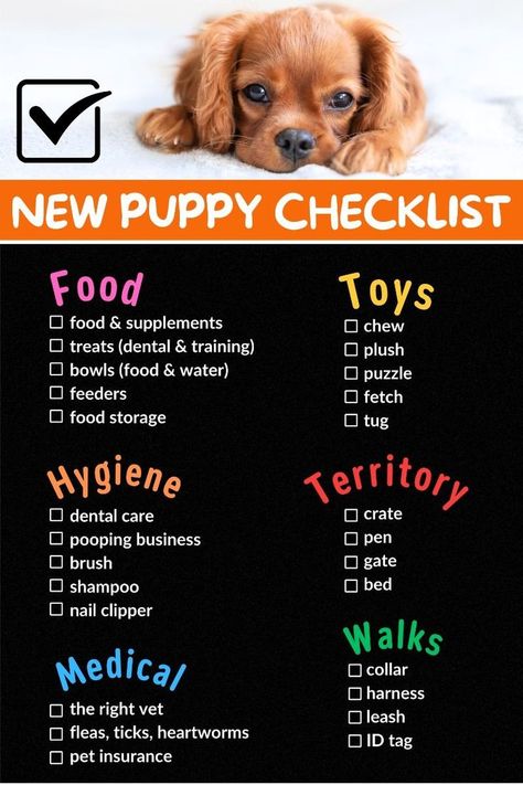 In addition to your love, your puppy needs essential supplies. This is why we prepared this New Puppy Checklist. The checklist covers everything… New Puppy Checklist Shopping, Puppy Starter Kit List, New Dog Checklist, Dog Checklist, Puppy Needs, Dog Supplies List, Puppy Starter Kit, Puppy List, New Puppy Checklist