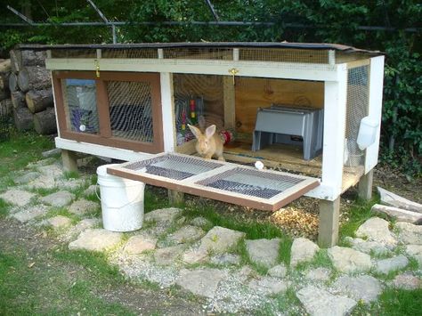 Diy rabbit hutch outdoor