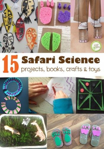 15 safari science activities for kids. A round up of projects, books, crafts, and toys. Perfect for a jungle themed unit or a science station. Jungle Theme Activities, Safari Science, Preschool Jungle, Jungle Activities, Safari Crafts, Jungle Classroom, Jungle Crafts, Safari Activities, Green Crafts For Kids