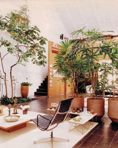 The Barn ✨ Personal home and office of architect A. Quincy Jones Los Angeles, California Circa 1965 Photos by Toshi Yoshimi A Quincy Jones, Home Plants, Quincy Jones, California Homes, Dream House Exterior, The Barn, Los Angeles California, House Plants, House Exterior