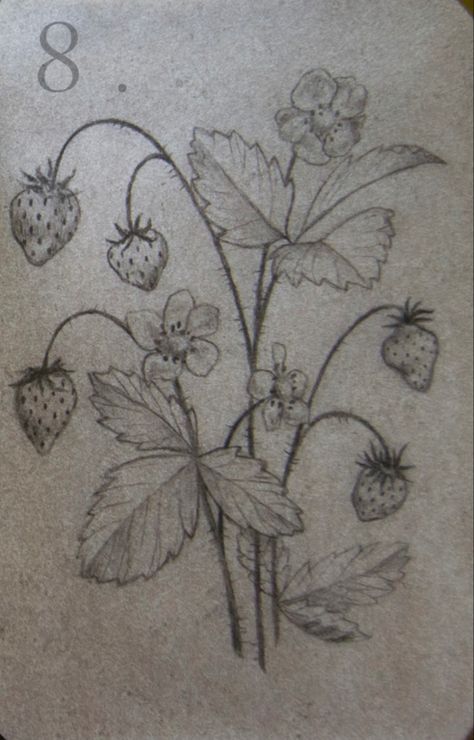 Wild Strawberry Tattoo Black And White, Wild Strawberries Tattoo, Strawberry Bush Tattoo, Wild Strawberry Tattoo, Strawberry Plant Tattoo, Botanical Illustration Tattoo, Patch Tattoos, Strawberry Tattoo, Lavender Tattoo