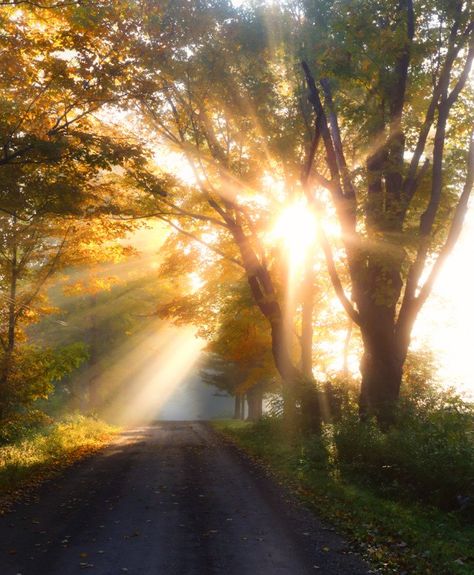 These 18 Beautiful Sunrises In Vermont Will Have You Setting Your Alarm Wow Photo, Sunrise Pictures, Sunrise Photos, Beautiful Sunrise, Mellow Yellow, Beautiful Sunset, Nature Lovers, Nature Photos, Belle Photo