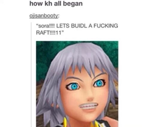 How kingdom hearts started Organization 13, Pictures Of Lightning, Y Image, Kingdom Hearts Funny, Bob The Builder, Kingdom Heart, Kingdom Hearts Art, Kingdom Hearts 3, Kingdom Hearts